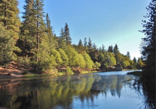Peaceful Lake Fulmor is surrounded by tall trees.