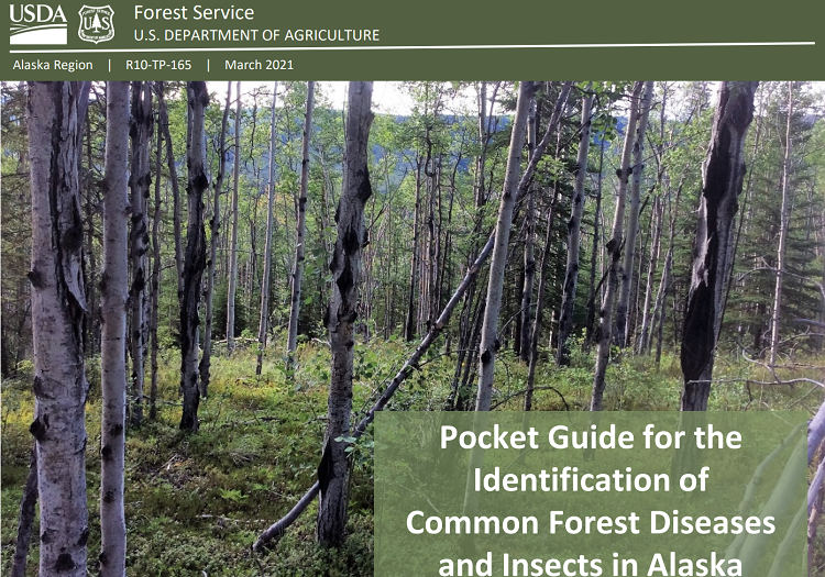 Cover of the Pocket Guide from 2021.