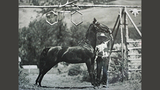A black and white photo of a man standing next to a dark colored horse. A wood beam is over head with the letters OTO.