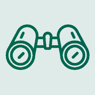 An icon of binoculars