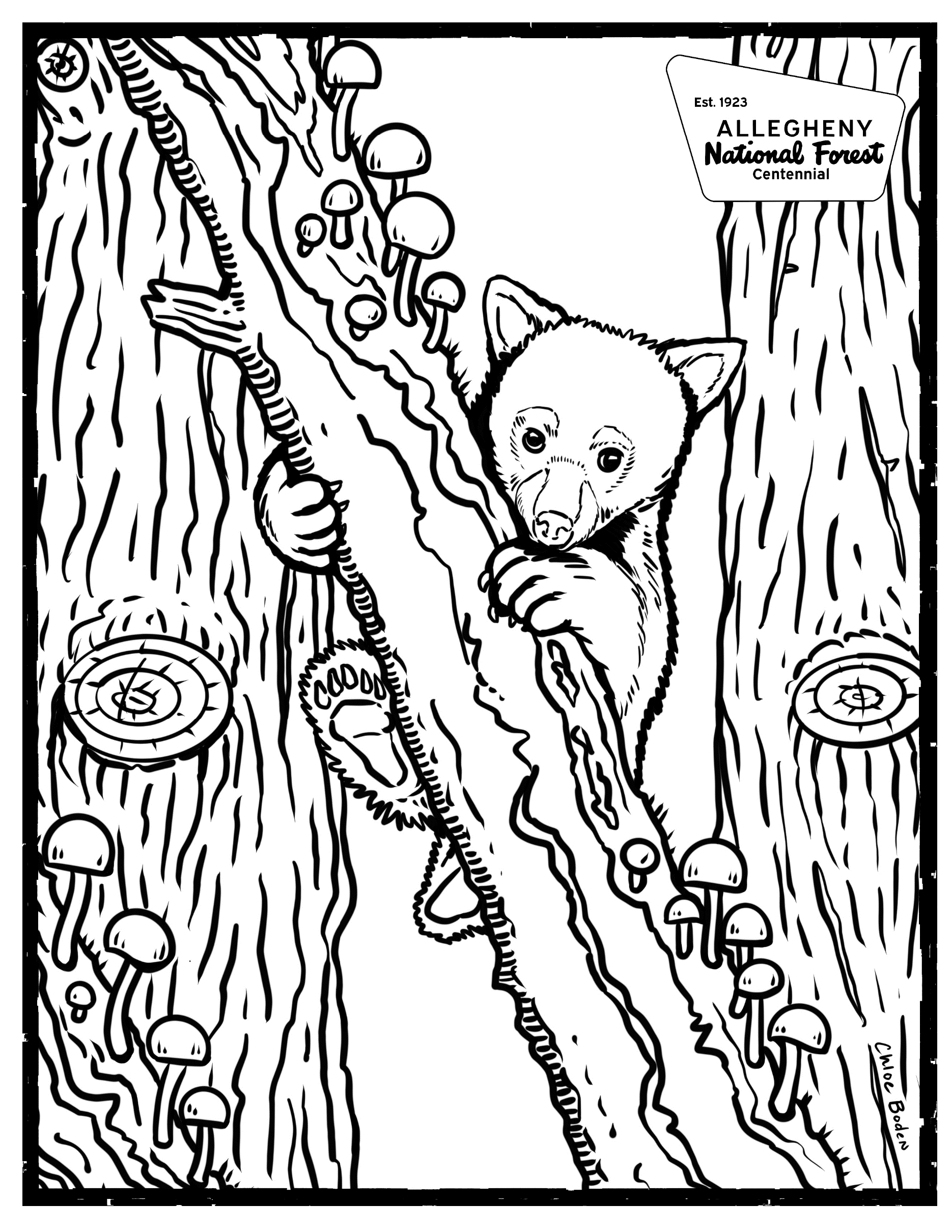 Coloring Page - Bear Cub