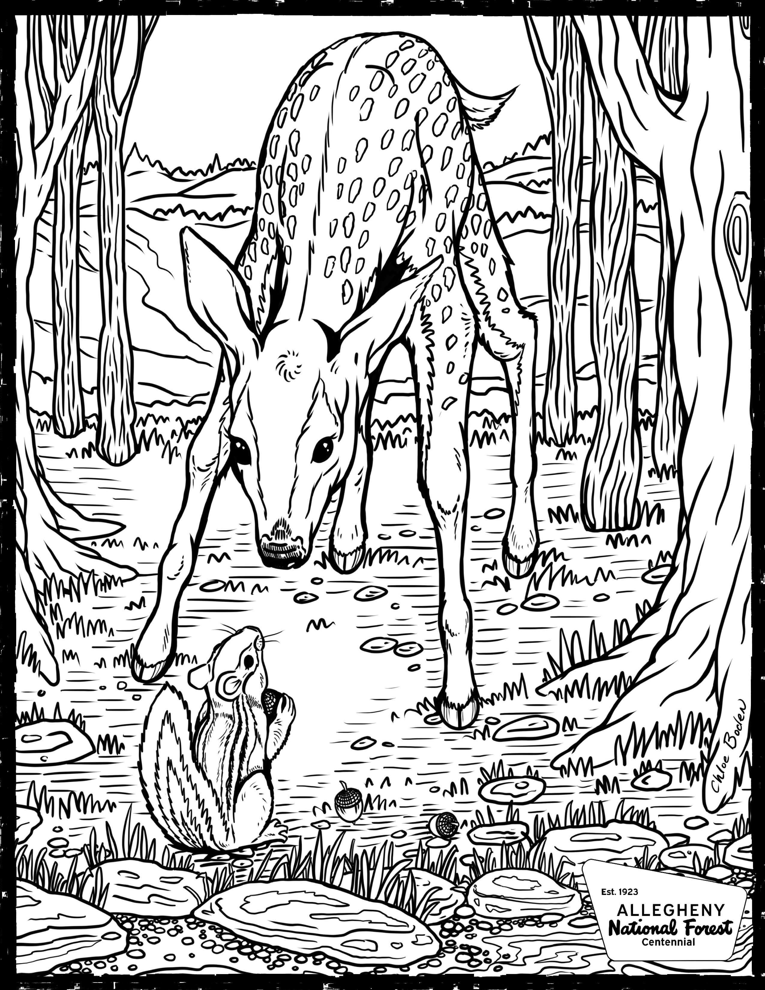 Coloring Page - Fawn and Chipmunk