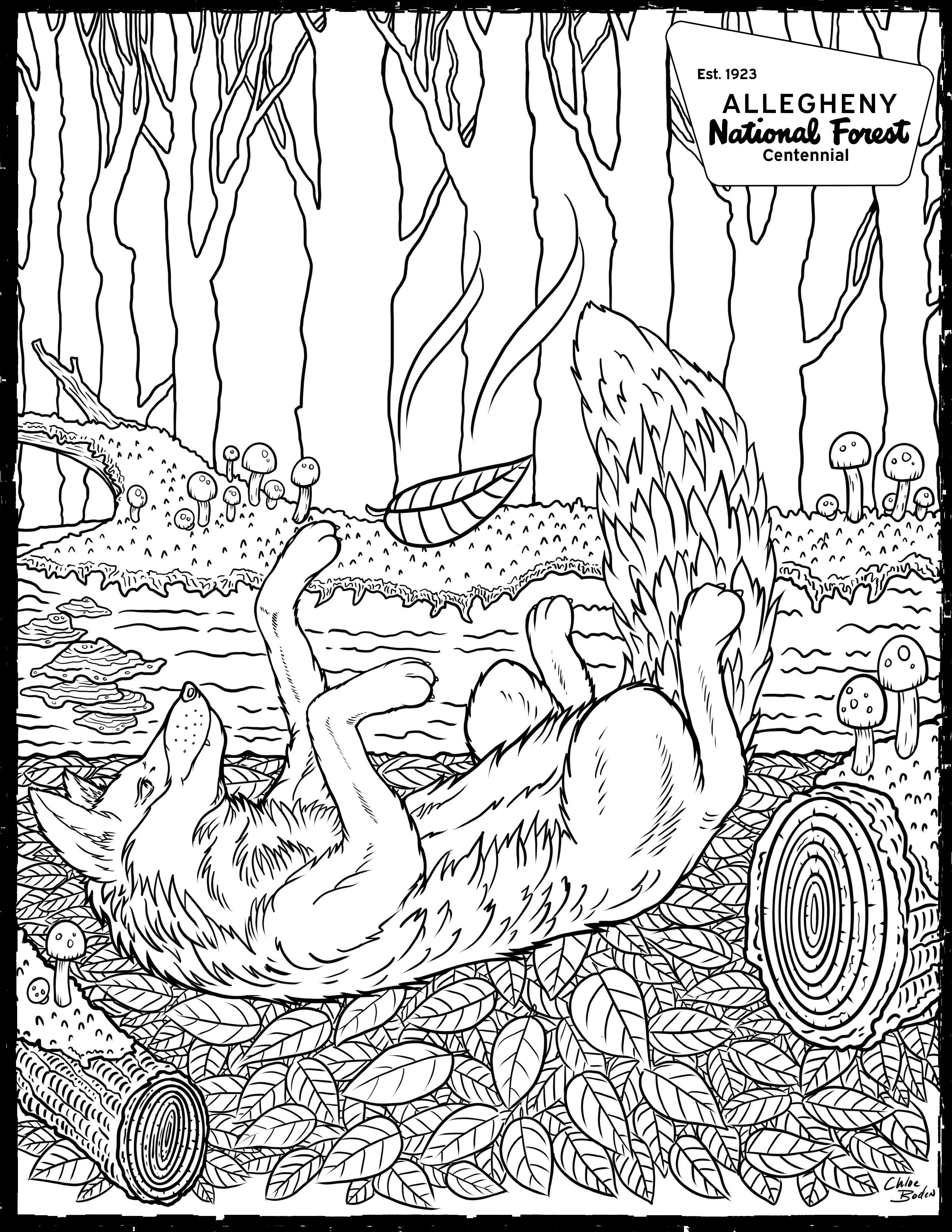 Coloring Page - Fox