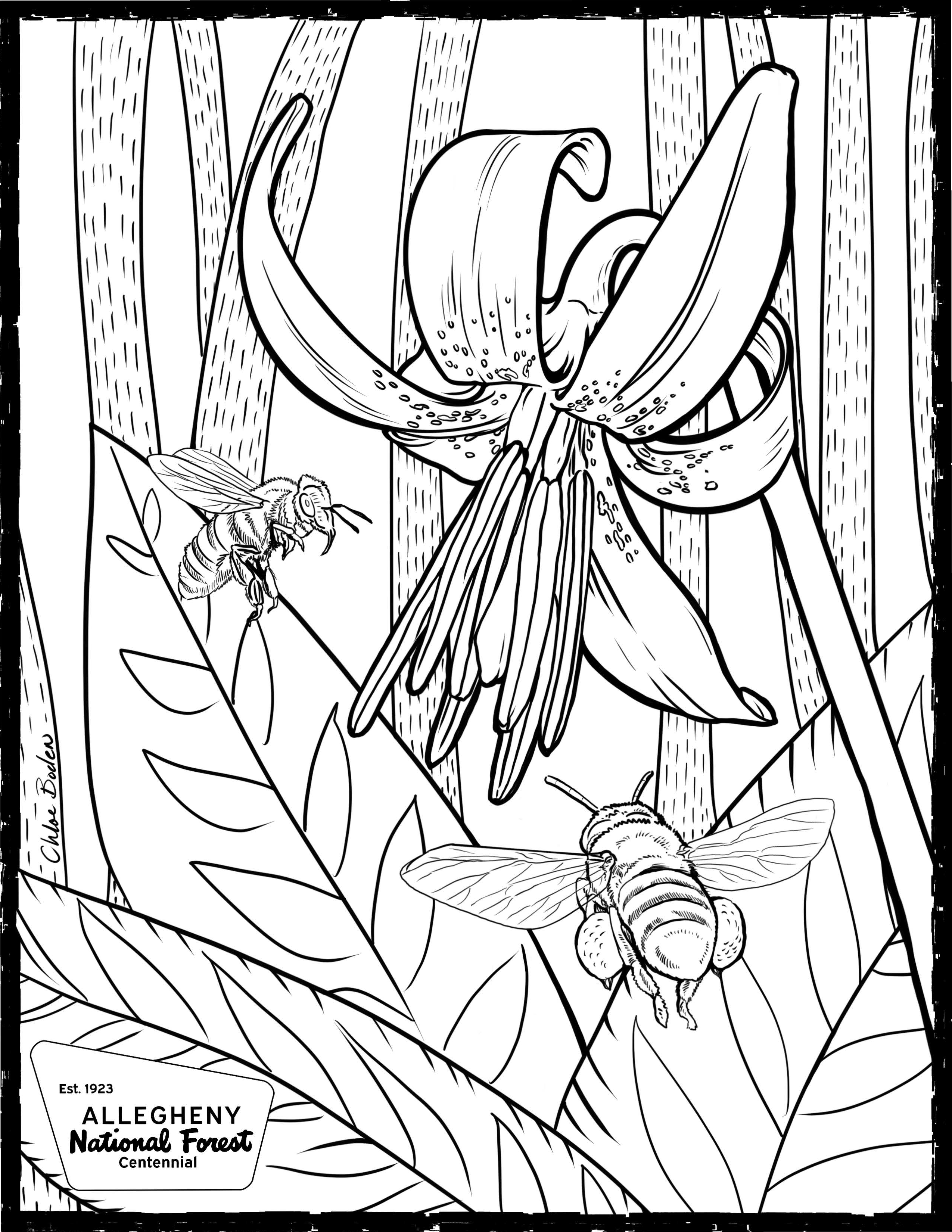Coloring Page - Yellow Trout Lily and Bees