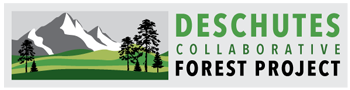 Logo for DCFP