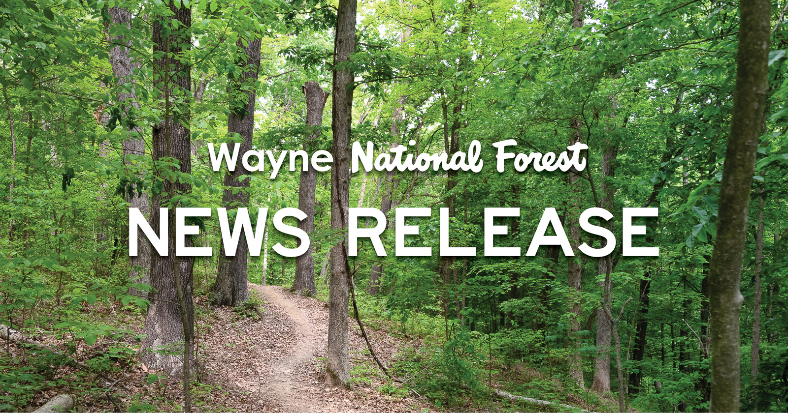 Text over a picture of the forest says Wayne National Forest News release.