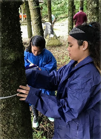 One person touches bark of tree while another takes notes.