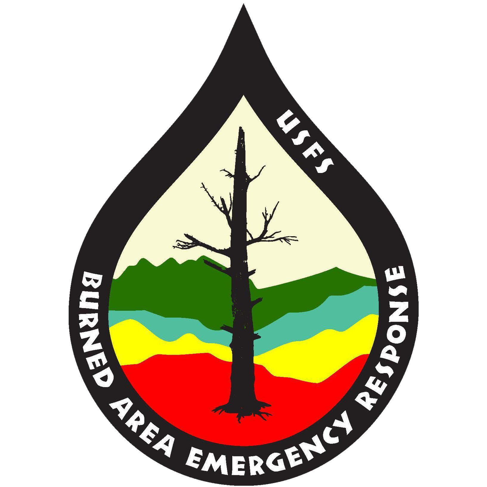 Burned Area Emergency Response logo