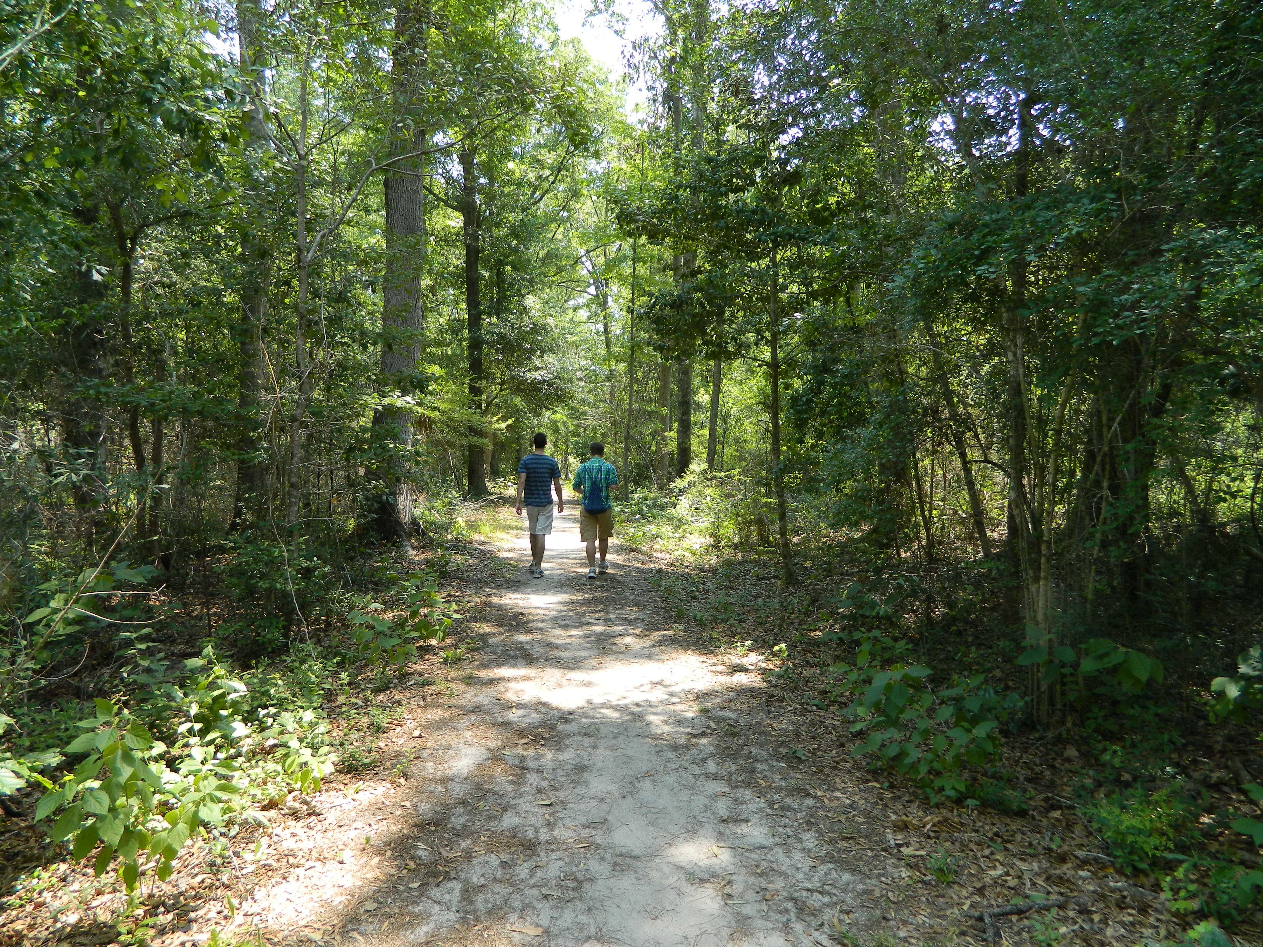 Two young men seen from behind walking down a dirt trail through a forest.