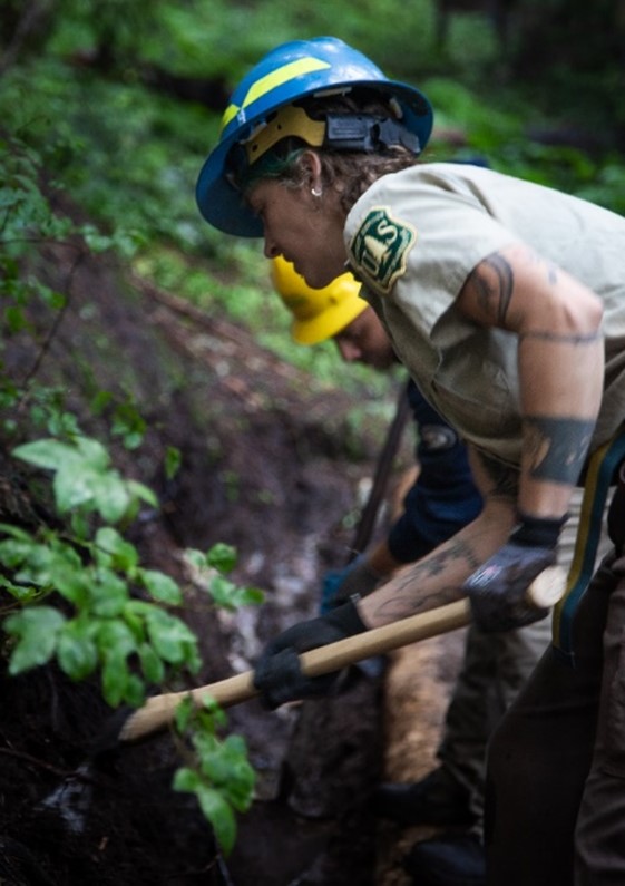 An employee in uniform uses a tool to dig on a forested hillside