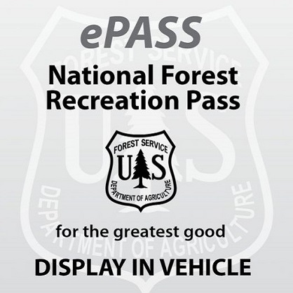 Image of a digital one-day Northwest Forest Pass