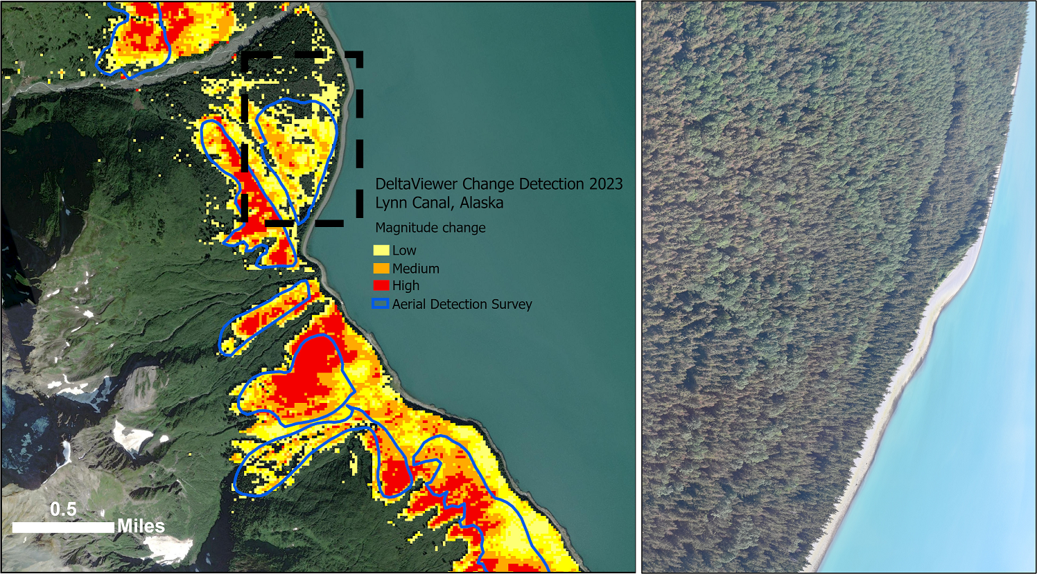 Forest change detected with Sentinel-2 imagery is depicted in yellow, orange, and red, based on the