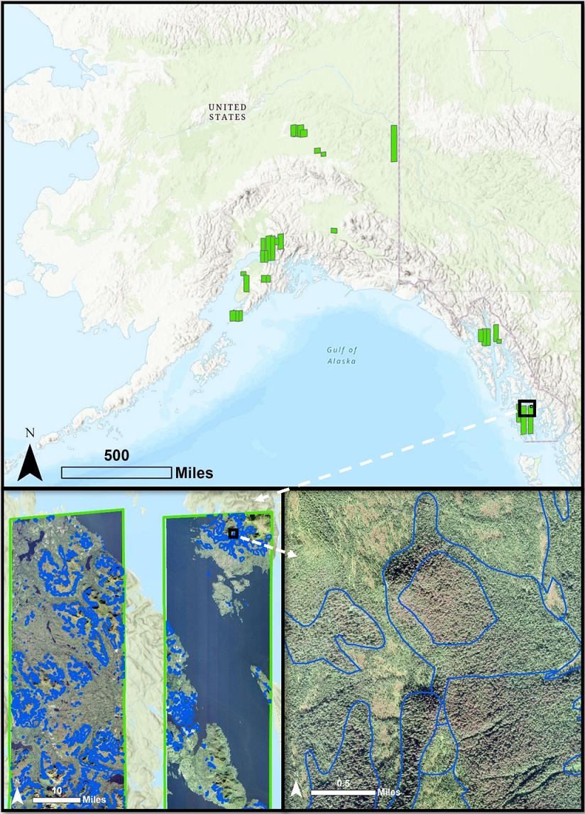 Aerial imagery used to survey Alaska in 2020 in place of aerial survey.