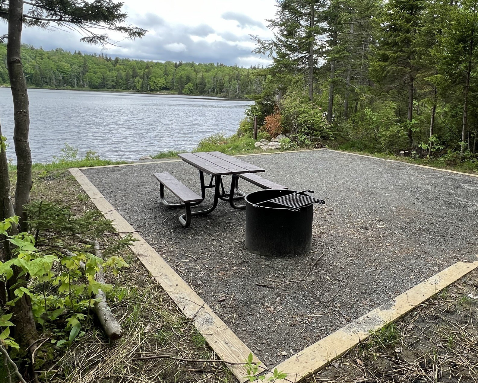 An empty campsite at Grout Pond with a picnic table, fire ring and tent pad