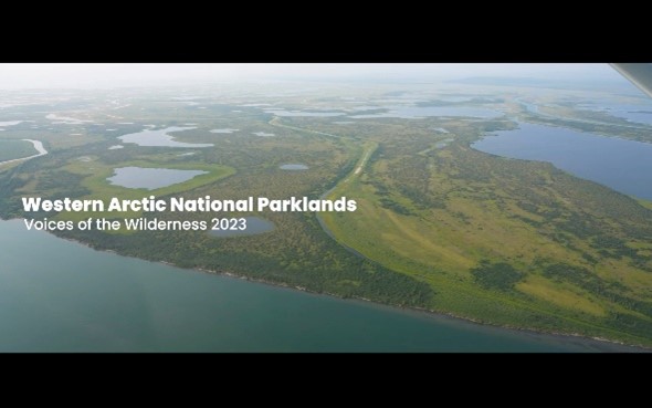 Screenshot of a video about the western arctic national parklands.
