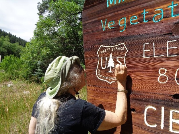 Volunteer hand repaints Forest Service sign