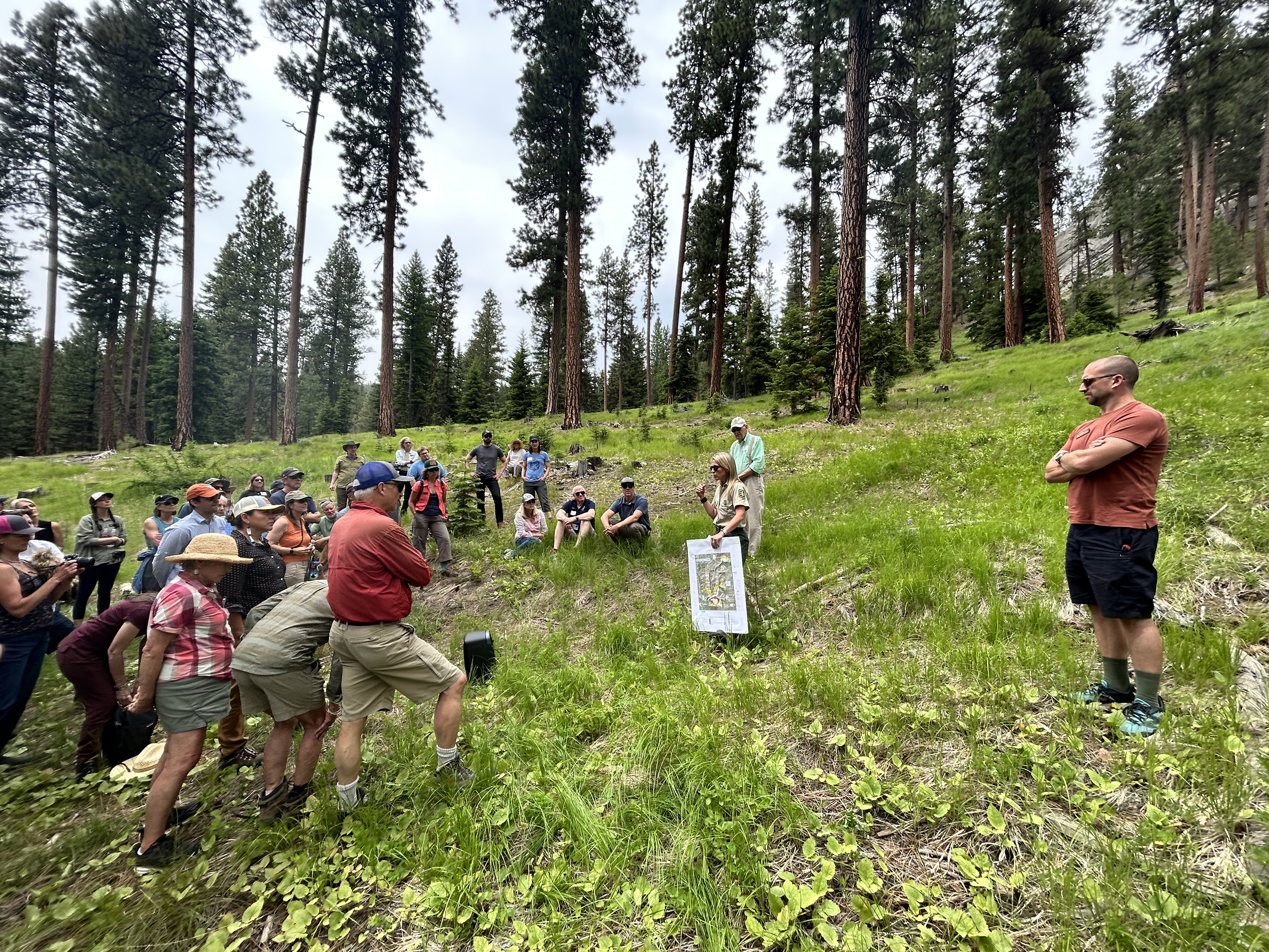 Board members listen to a Forest Service presenter in a forested area