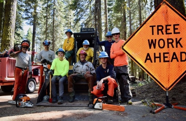 A group of people in safety gear pose with chainsaws and other equipment.