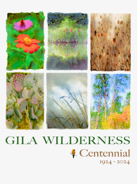 poster with two rows each with three Monet-esque watercolor scenes you might find in the wilderness. Ben Brown artist.