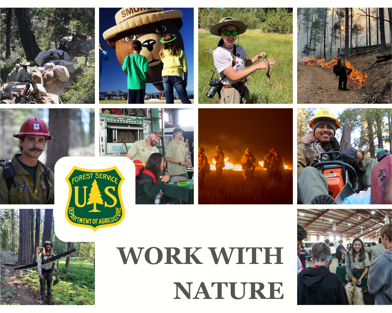 A collage of forest service employees