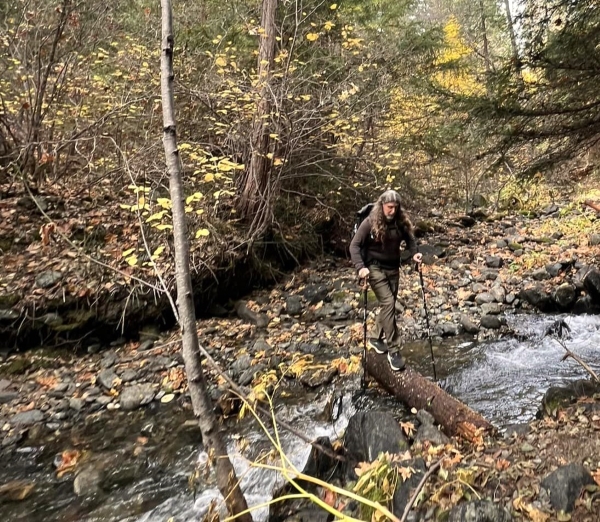 A hiker holding trekking poles and carrying a small backpack walks across a log spanning a creek.