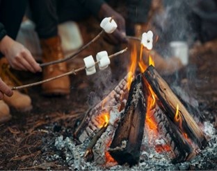 Group roasting marshmallows on a fire