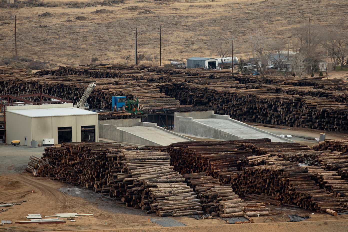Saw logs stacked high and span eight rows deep.