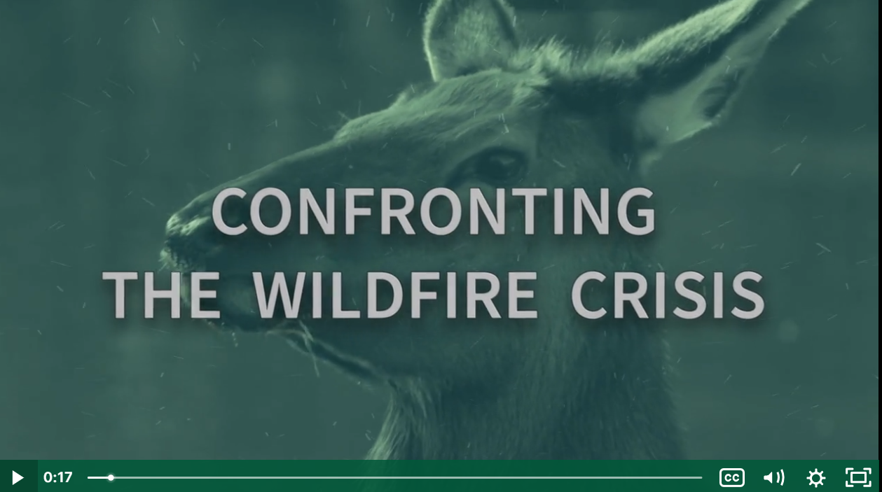 Video Player Image for Confronting the Wildfire Crisis Video