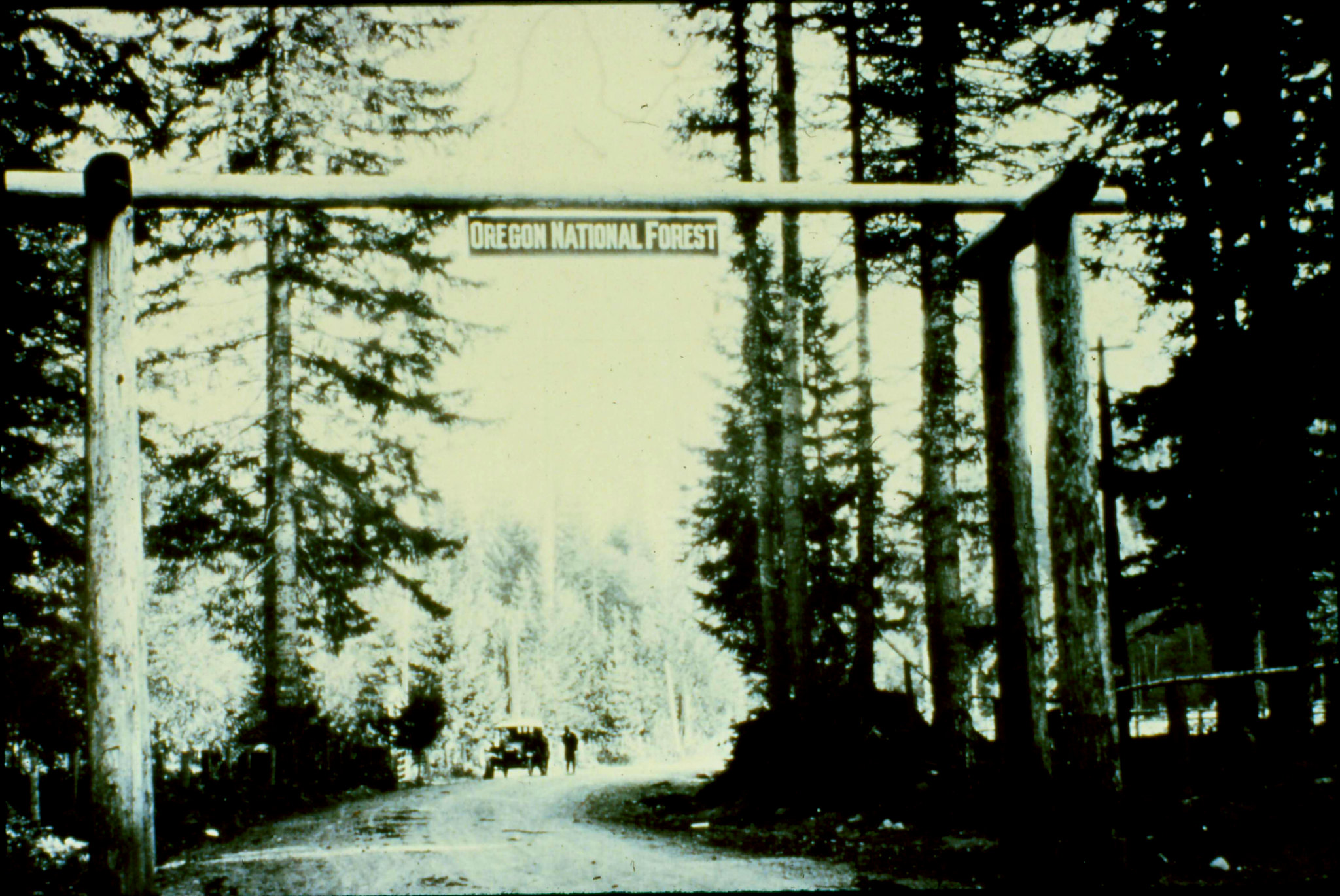 Oregon National Forest entrance sign