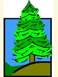 Pine tree clip art