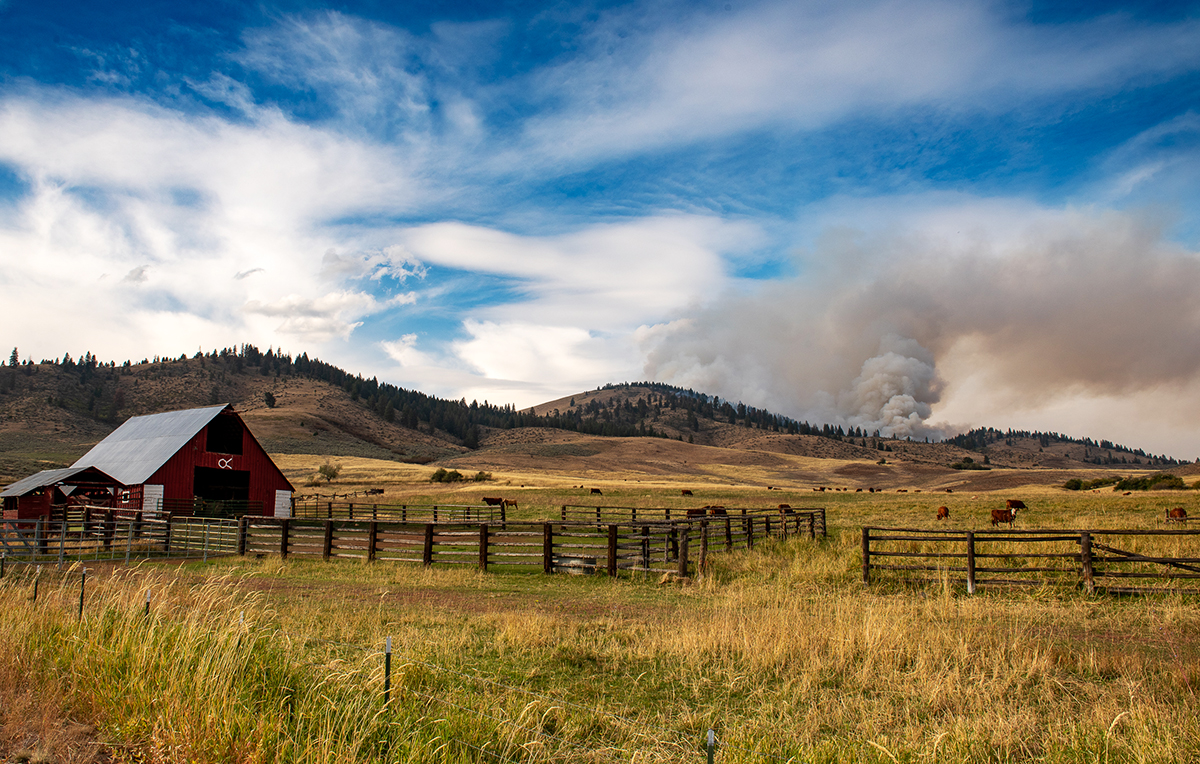 Ranch with cattle-fence-house in grasslands with smoke in sky