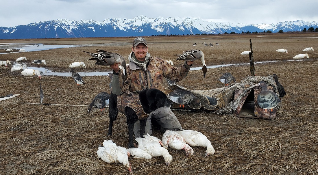 A hunter on the Chugach holds up two pintail ducks, he has four snow geese laid in front of him and his dog by his side.