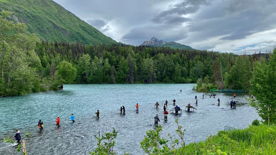A line of a dozen people standing in the turquoise Russian River fishing, green forest and mountain surround them.