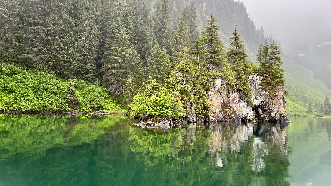 A misty costal rainforest, fog hangs around Sitka Spruce trees, seeming to be growing on rocky cliffs above blue-green water.
