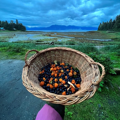 A hand presenting a basket of blueberries and salmonberries.