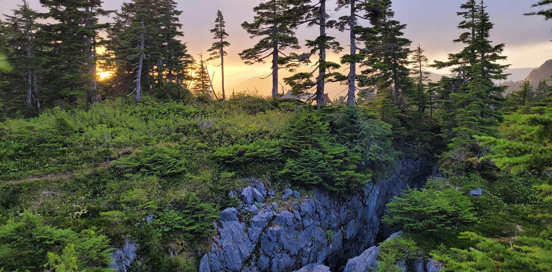 A tarp camp set up next to the entrance to a cave on Prince of Wales island, surrounded by forest, sunset.