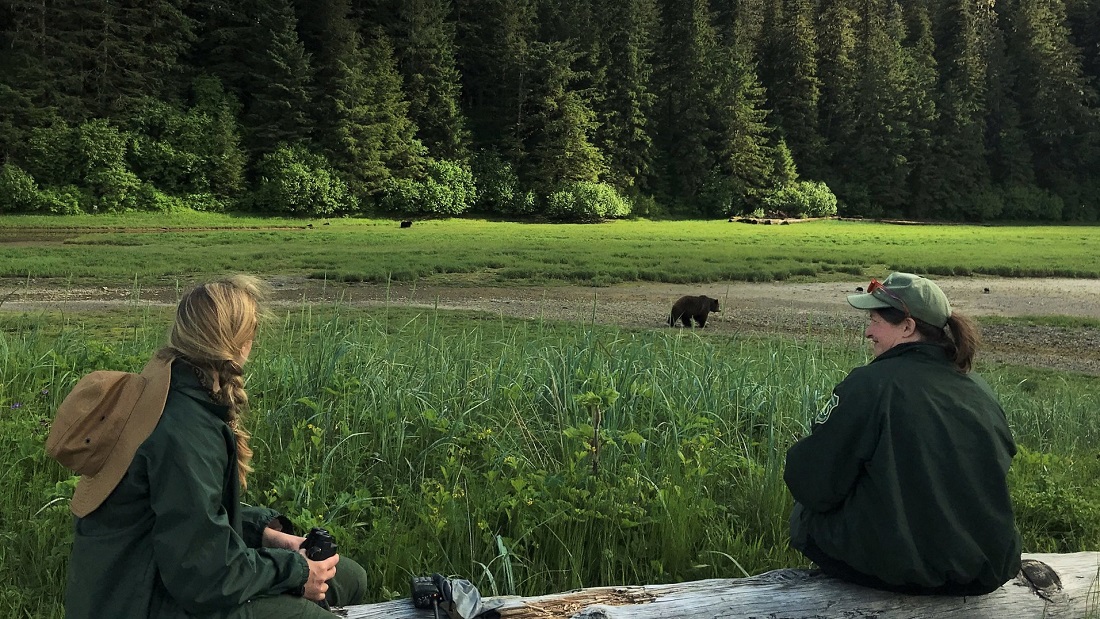 Two wilderness rangers sit and watch a bear walk by on Admiralty Island.