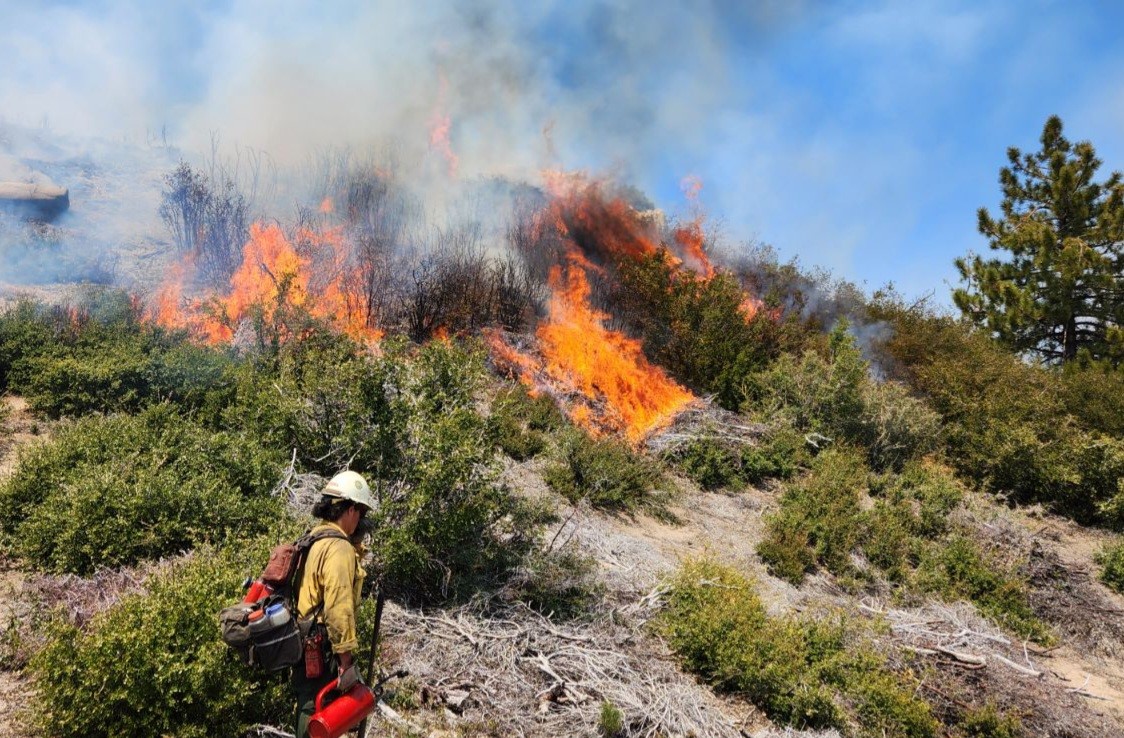 A wildland firefighter uses a drip torch to start the Angelus Oaks Prescribed Fire, May 1.