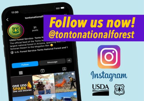 @tontonationalforest follow us on Instagram