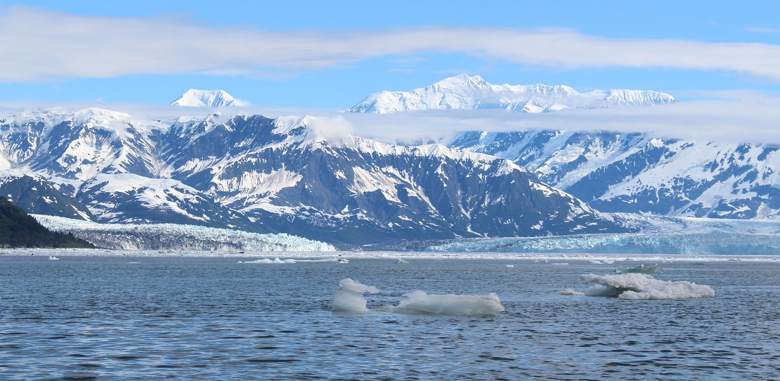 The Turner and Hubbard Glaciers calving plenty of ice into Disenchantment Bay.