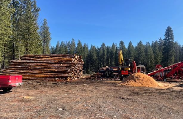 Log yard showing stacks of logs and machinery