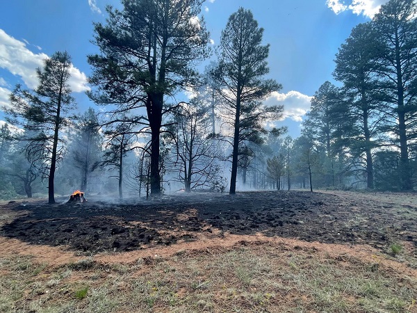 burnt area on the ground with some ground smoke
