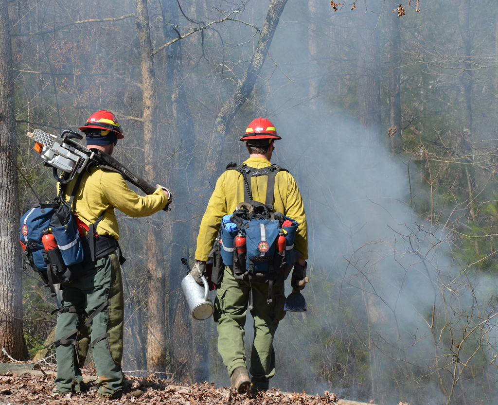 A fire manager applies prescribed fire along a containment line.