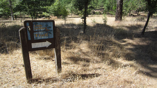 The Pines Campground trail sign