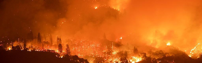 Nighttime aerial view of hundreds of acres of conifer forest being consumed by a raging fire.