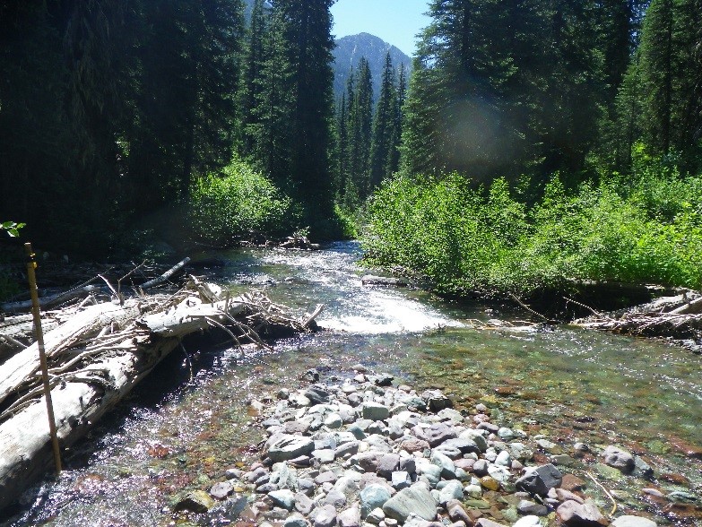 BSLRP View of a Stream in the Blackfoot Swan Project Area