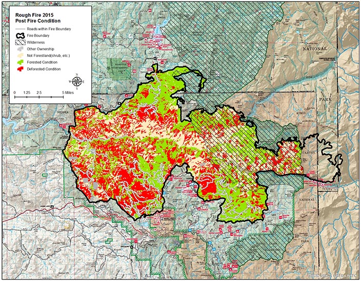 Fire boundary shown with areas of forested, deforested, and not forested forestland.