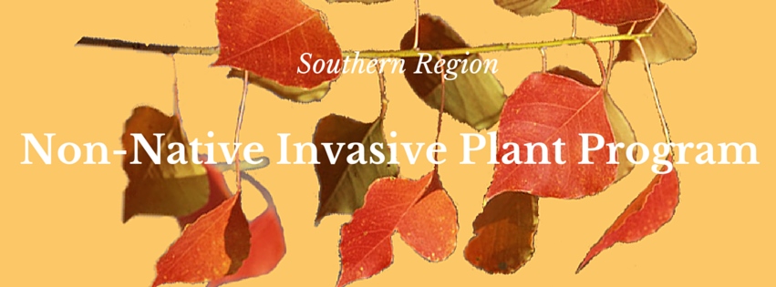Non-native Invasive Plant Program