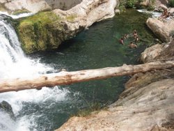 Swimmers enjoying the warm waters of Fossil Creek