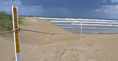 Carsonite posts and rope delineate snowy plover nesting areas